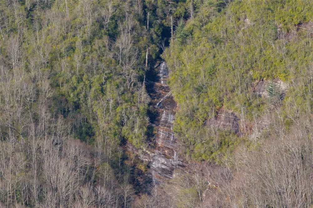 TRP 1 Cardinal Drive West Lake Toxaway, NC 28747