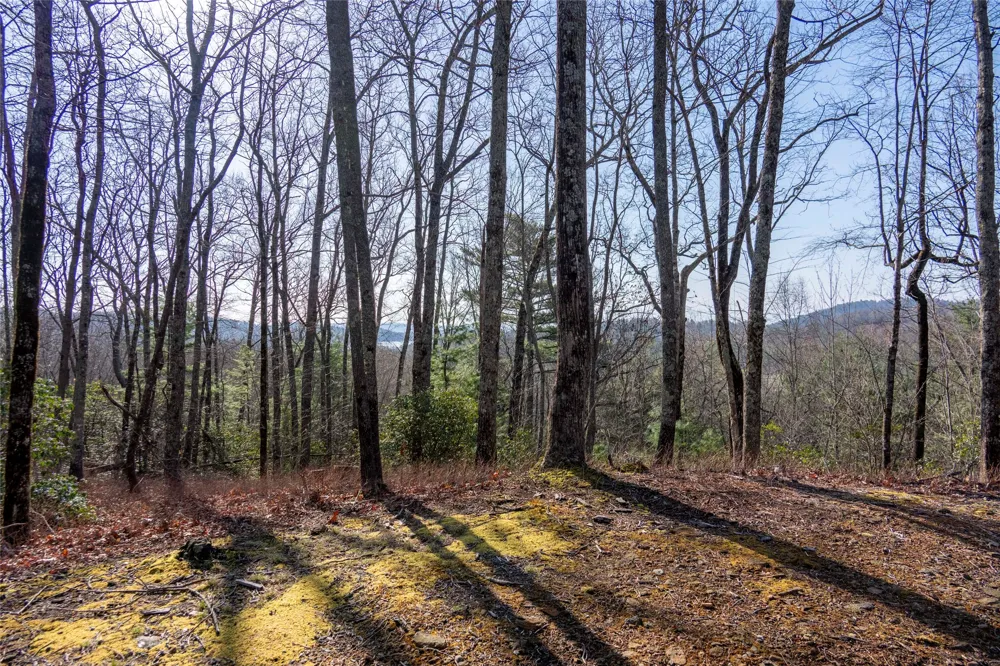 TRP 1 Cardinal Drive West Lake Toxaway, NC 28747