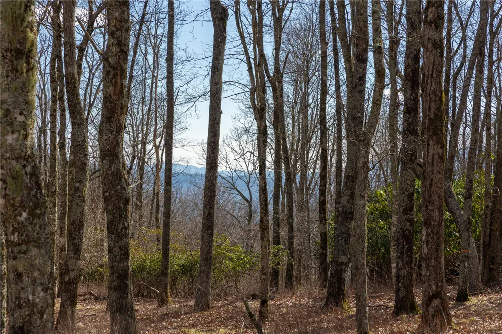 D14 Mossy Bark Trail Glenville, NC 28736