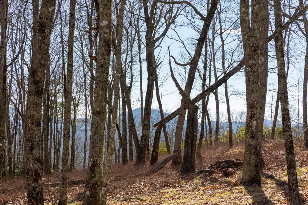 D14 Mossy Bark Trail Glenville, NC 28736
