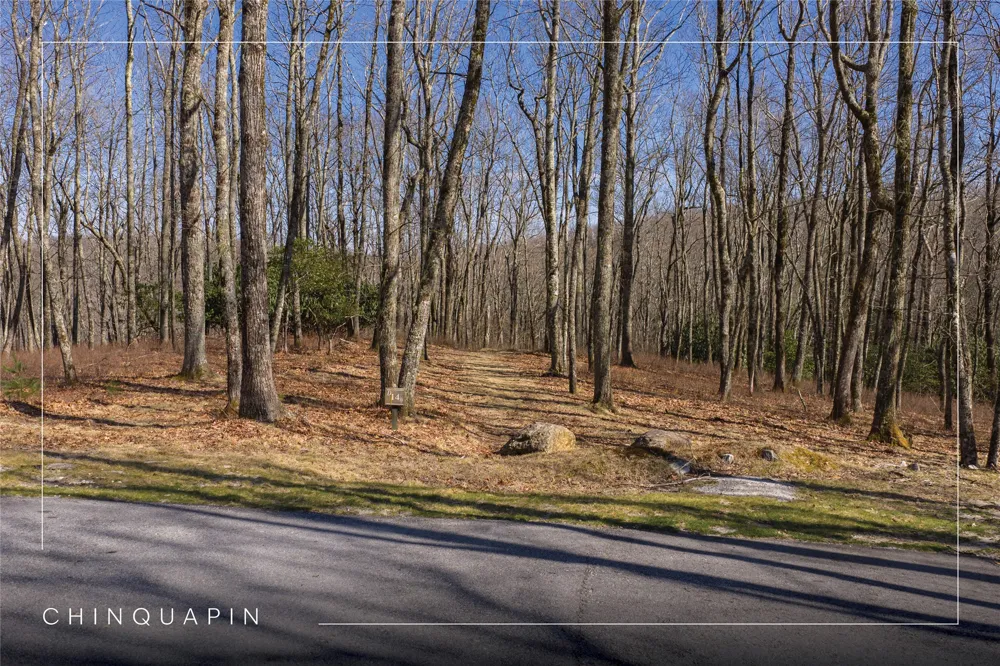 D14 Mossy Bark Trail Glenville, NC 28736