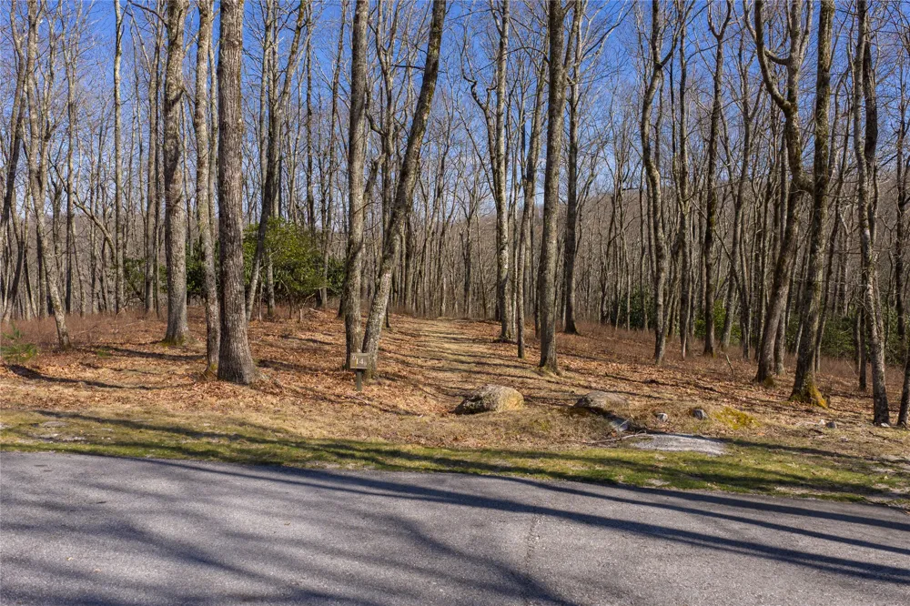 D14 Mossy Bark Trail Glenville, NC 28736
