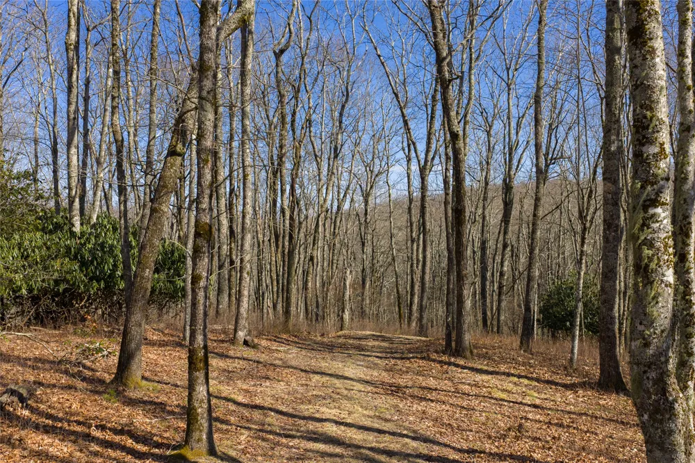 D14 Mossy Bark Trail Glenville, NC 28736