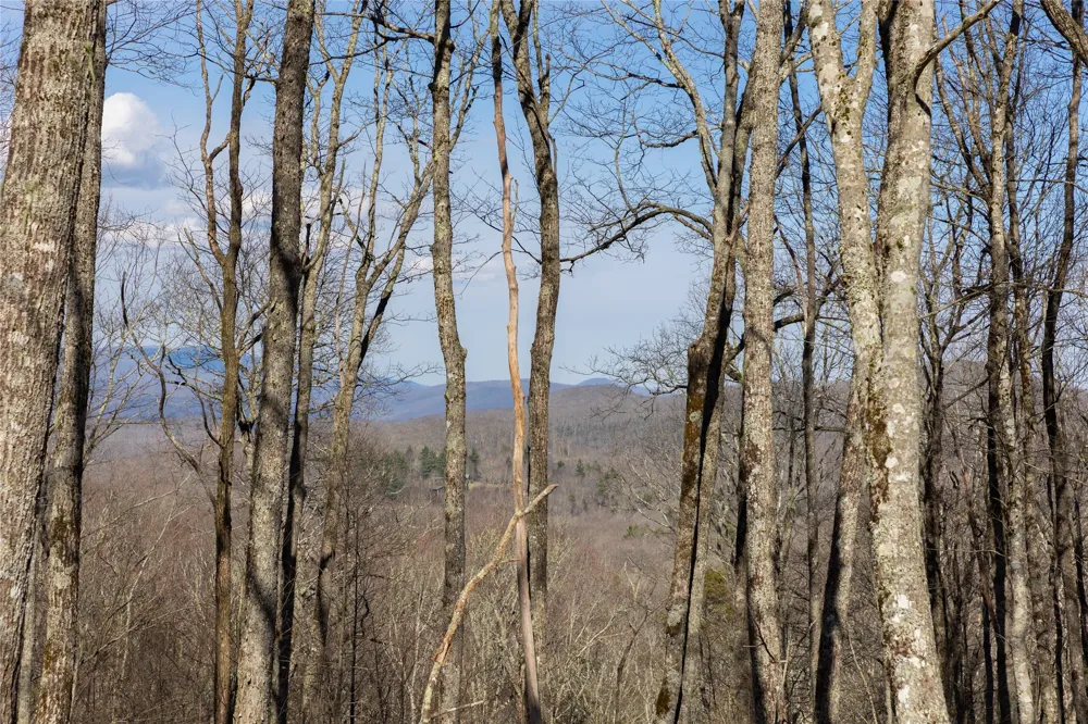 D14 Mossy Bark Trail Glenville, NC 28736