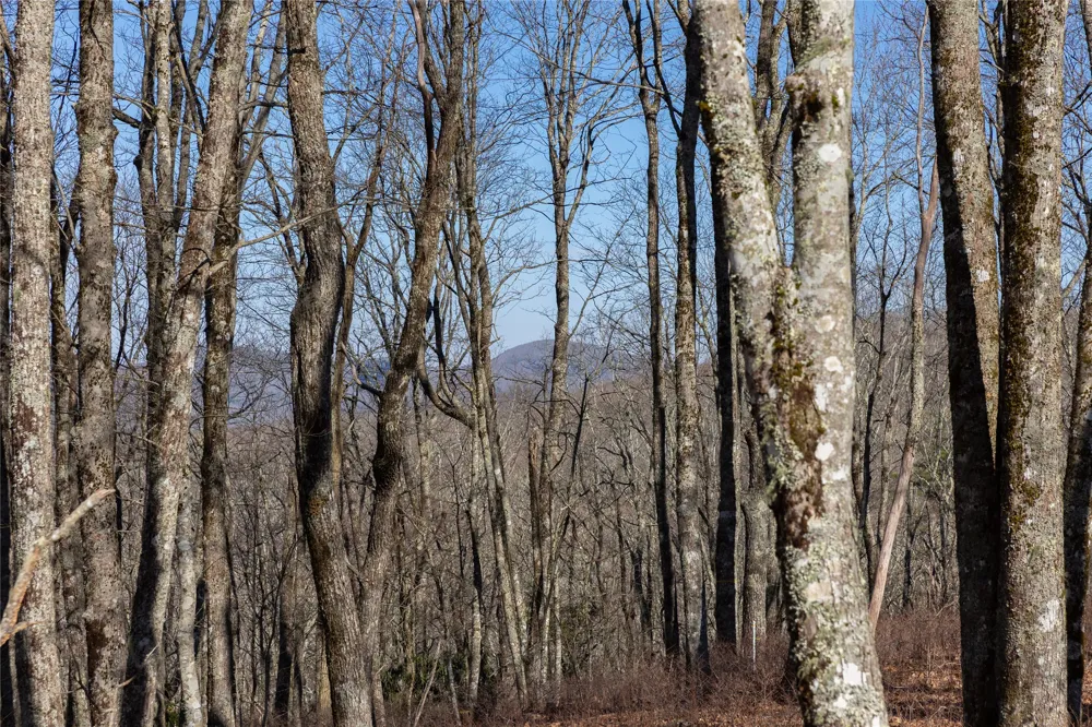 D14 Mossy Bark Trail Glenville, NC 28736