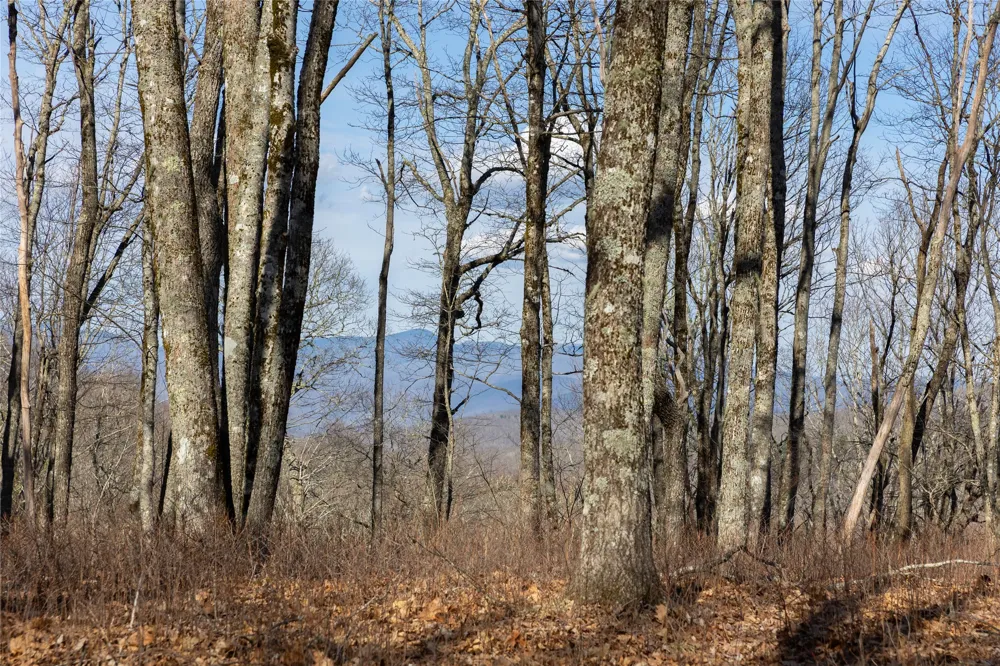 D14 Mossy Bark Trail Glenville, NC 28736
