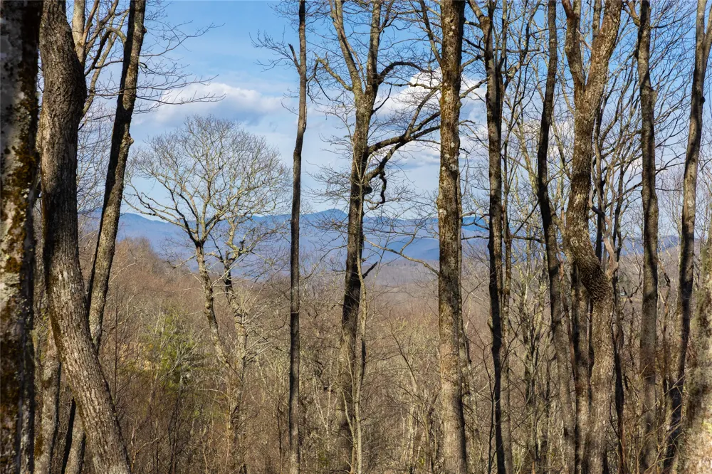 D14 Mossy Bark Trail Glenville, NC 28736