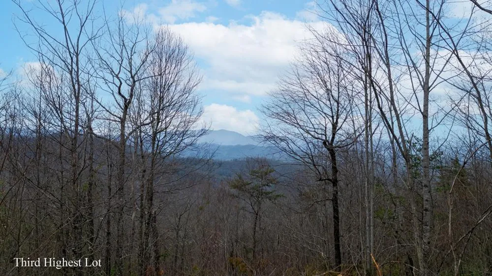 Walnut Cove Bryson City, NC 28713