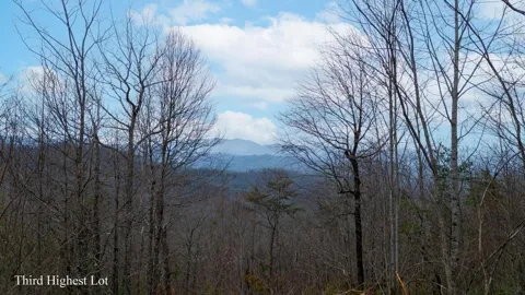 Walnut Cove
