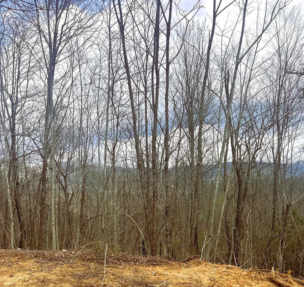 Walnut Cove Bryson City, NC 28713