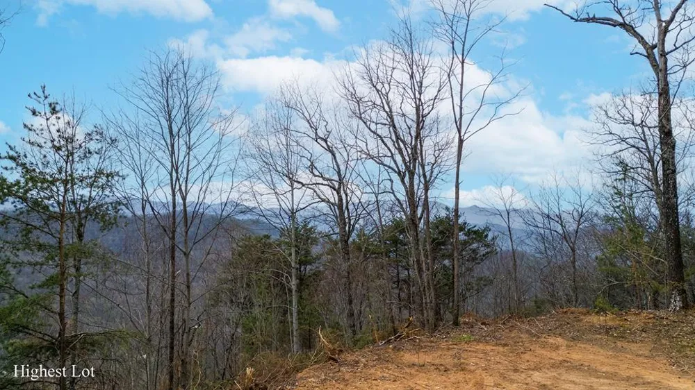 Walnut Cove Bryson City, NC 28713