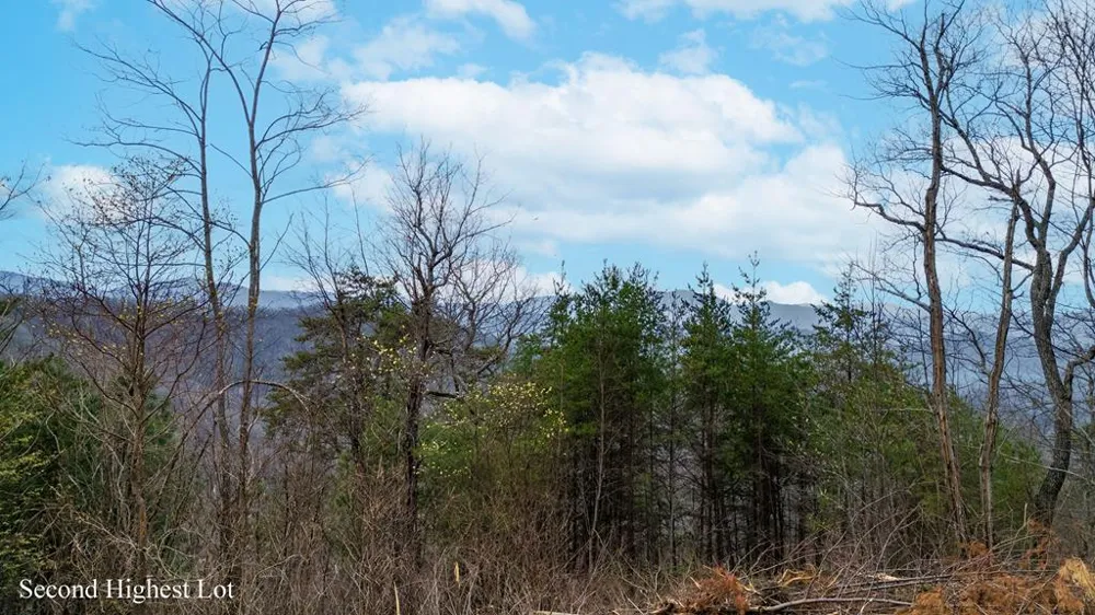 Walnut Cove Bryson City, NC 28713