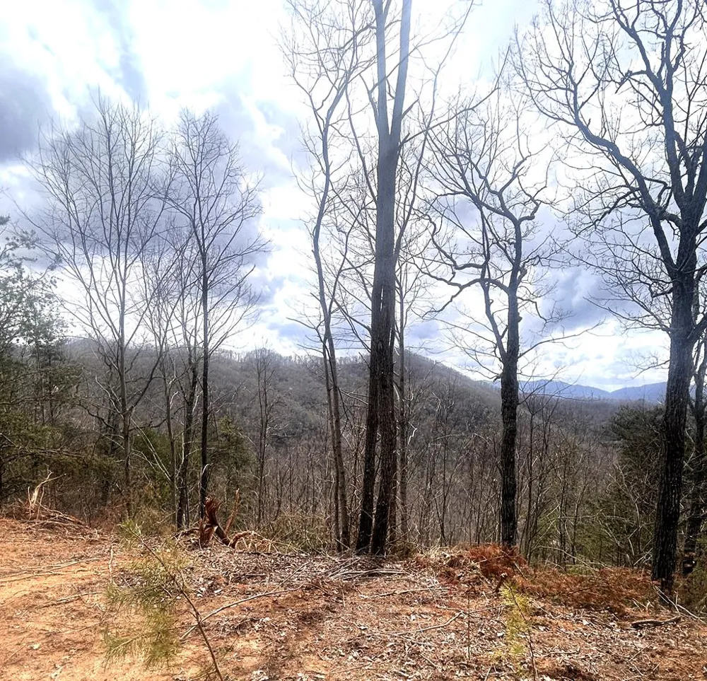 Walnut Cove Bryson City, NC 28713