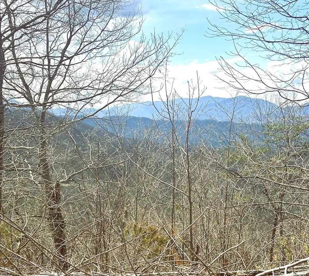 Walnut Cove Bryson City, NC 28713