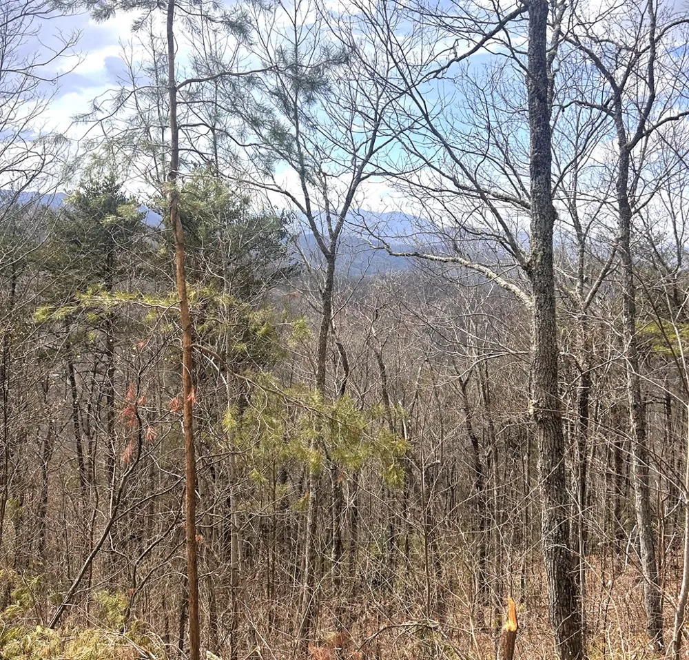 Walnut Cove Bryson City, NC 28713