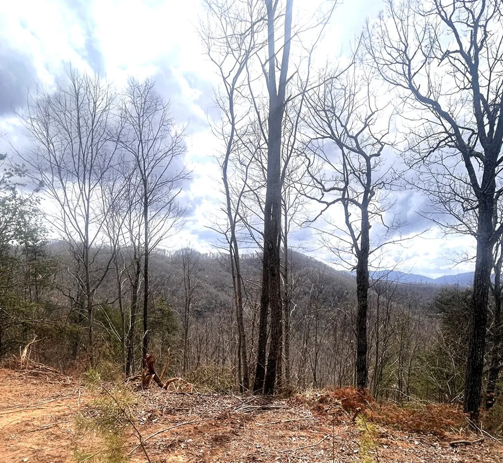 Walnut Cove Bryson City, NC 28713