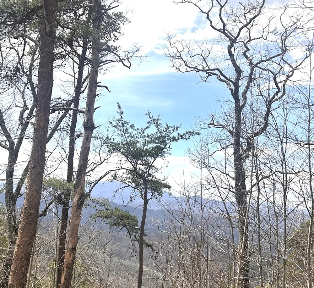 Walnut Cove Bryson City, NC 28713
