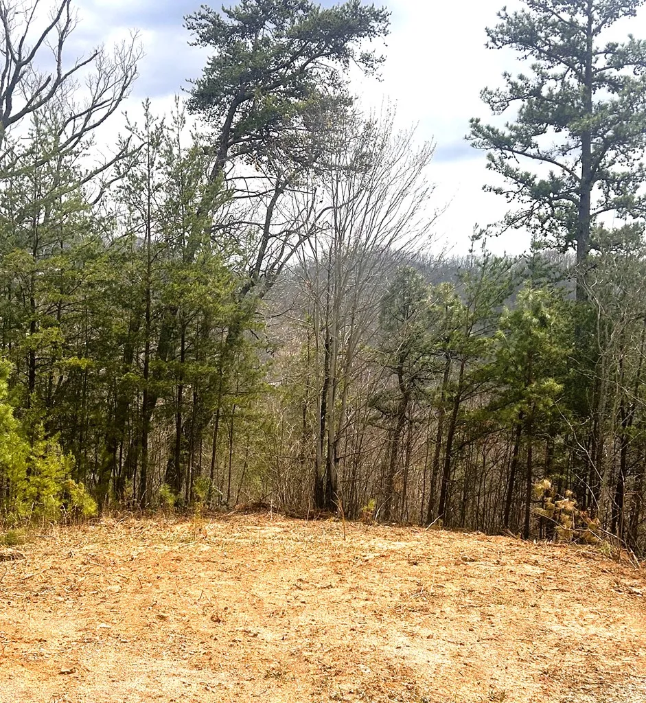 Walnut Cove Bryson City, NC 28713