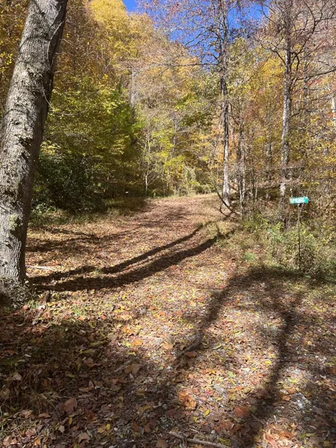 High Springs Road
