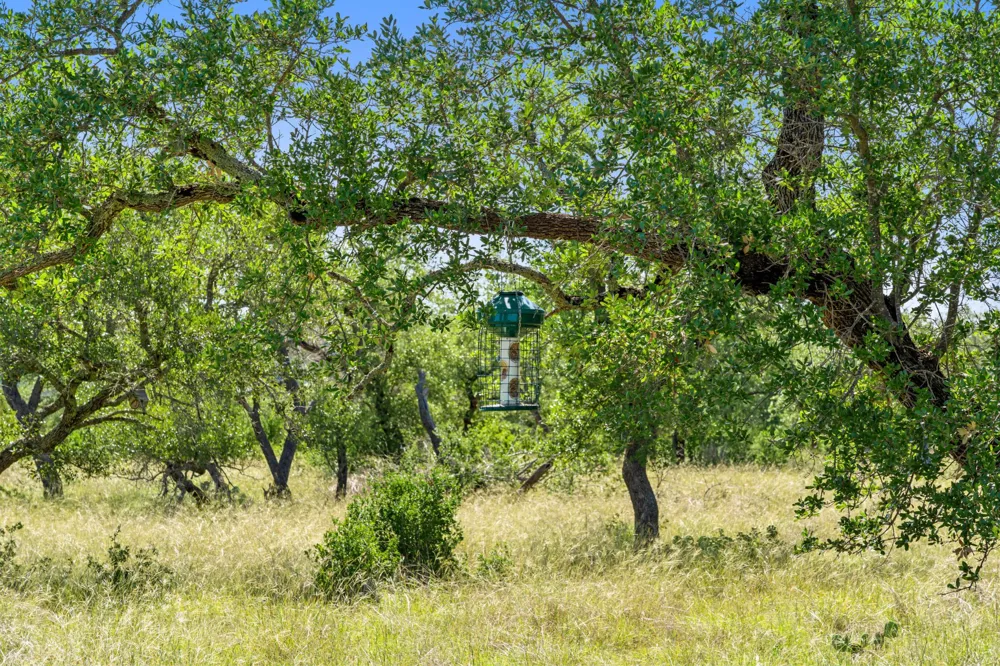620 Rio Vista Road Johnson City, TX 78636