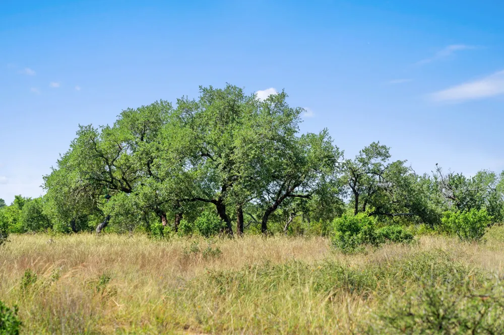 620 Rio Vista Road Johnson City, TX 78636