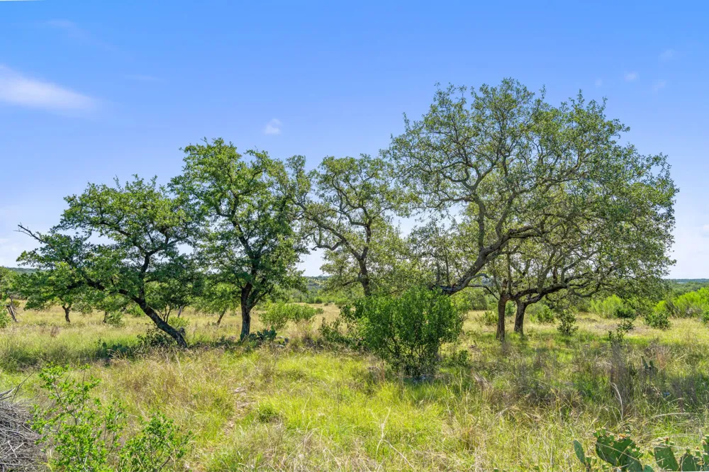 620 Rio Vista Road Johnson City, TX 78636