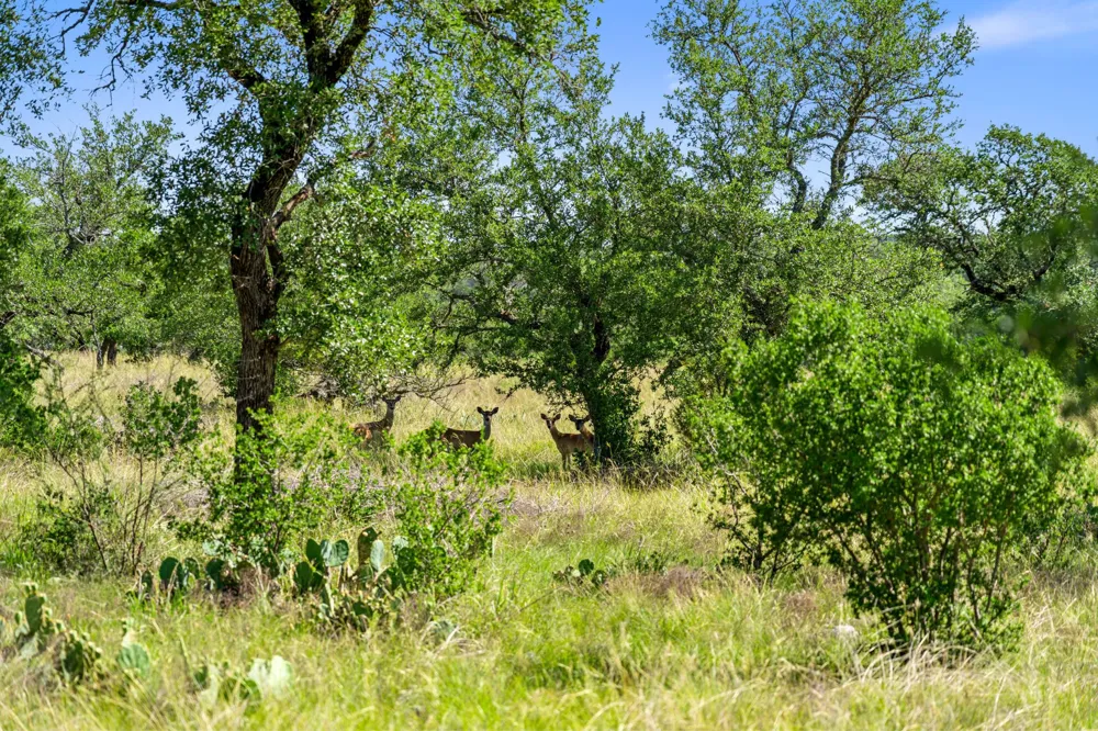 620 Rio Vista Road Johnson City, TX 78636