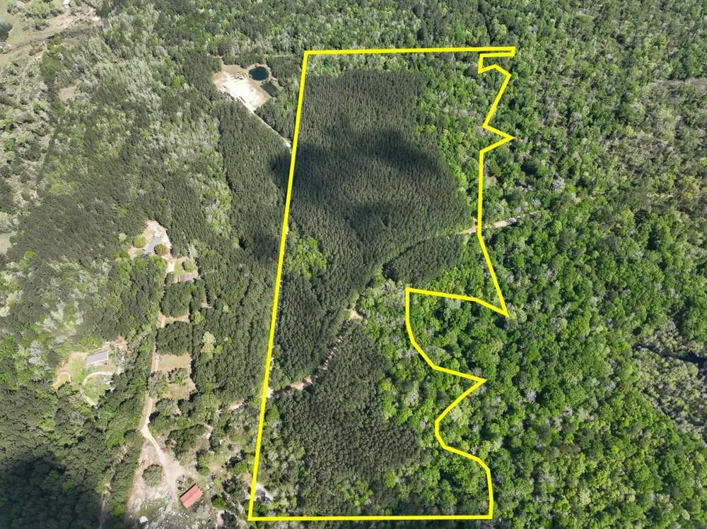 Cr 4525 Warren, TX 77664