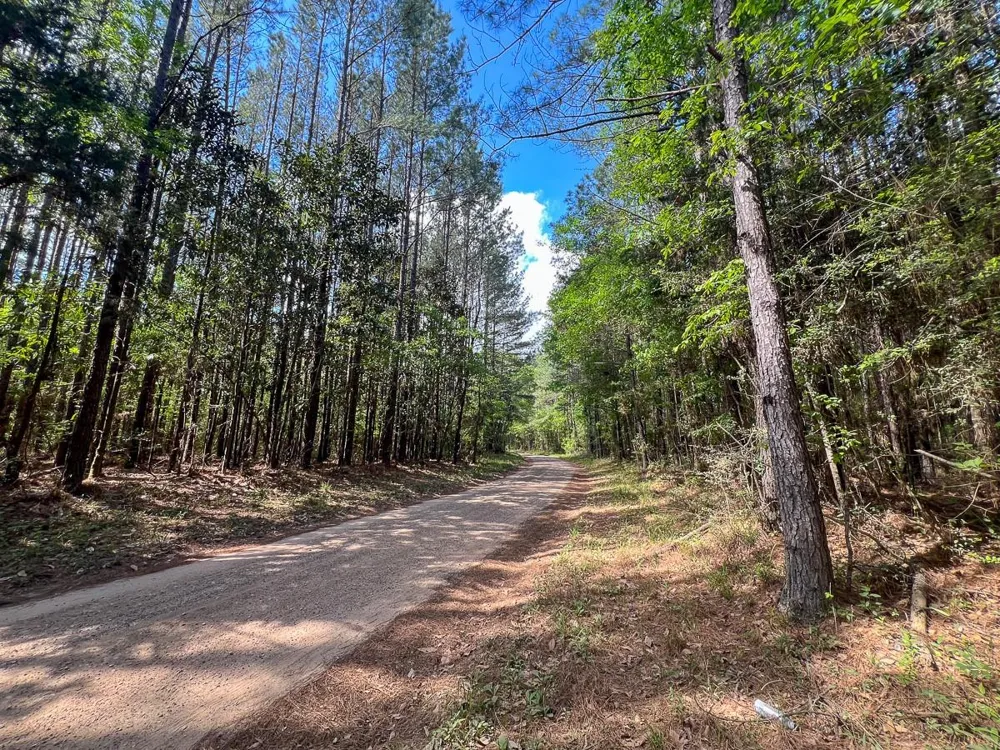 Cr 4525 Warren, TX 77664