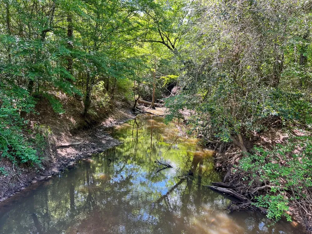 Cr 4525 Warren, TX 77664