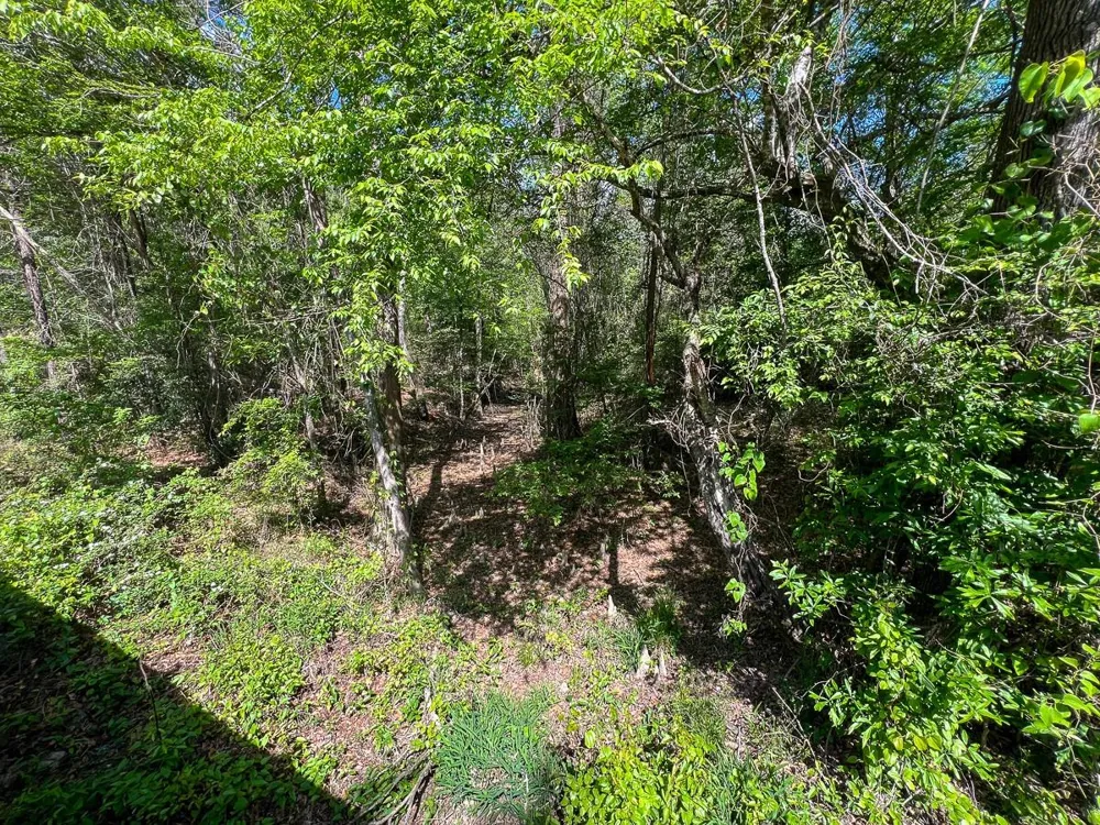 Cr 4525 Warren, TX 77664