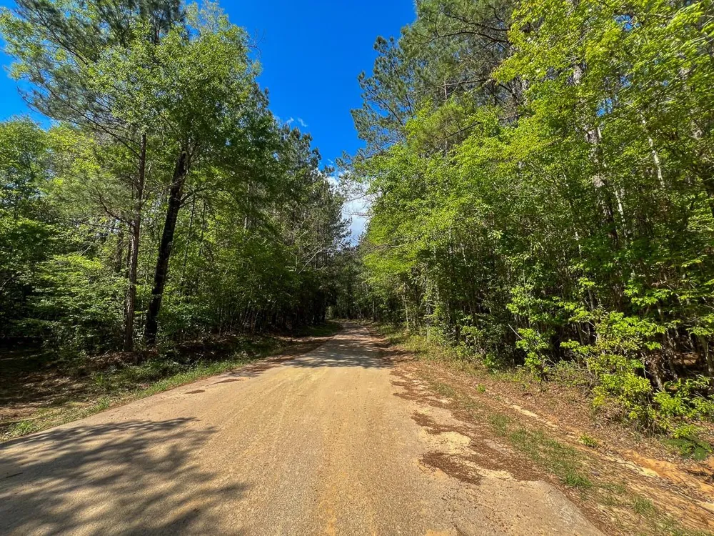 Cr 4525 Warren, TX 77664