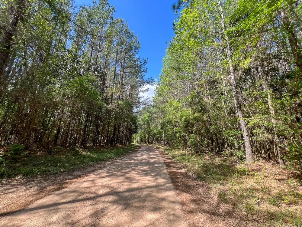 Cr 4525 Warren, TX 77664