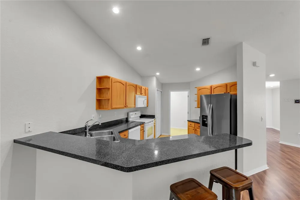 1715 HAMMOCKS AVENUE #1715 Lutz, FL 33549