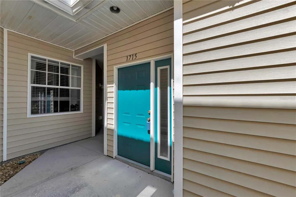 1715 HAMMOCKS AVENUE #1715 Lutz, FL 33549