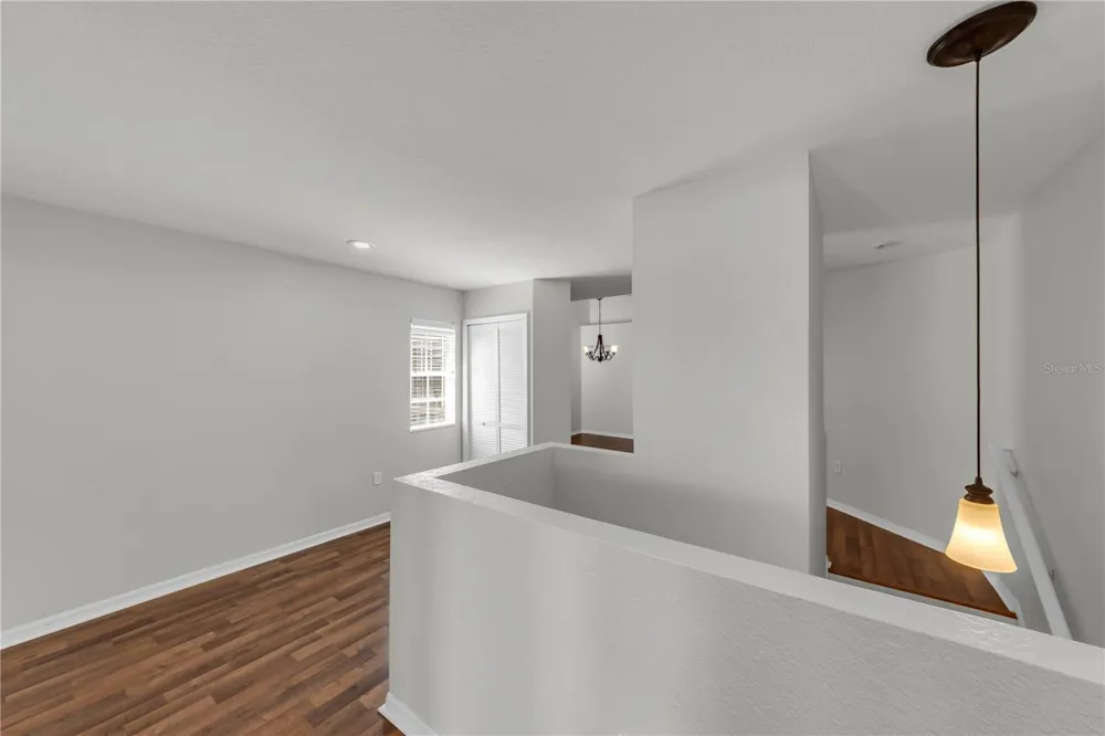 1715 HAMMOCKS AVENUE #1715 Lutz, FL 33549