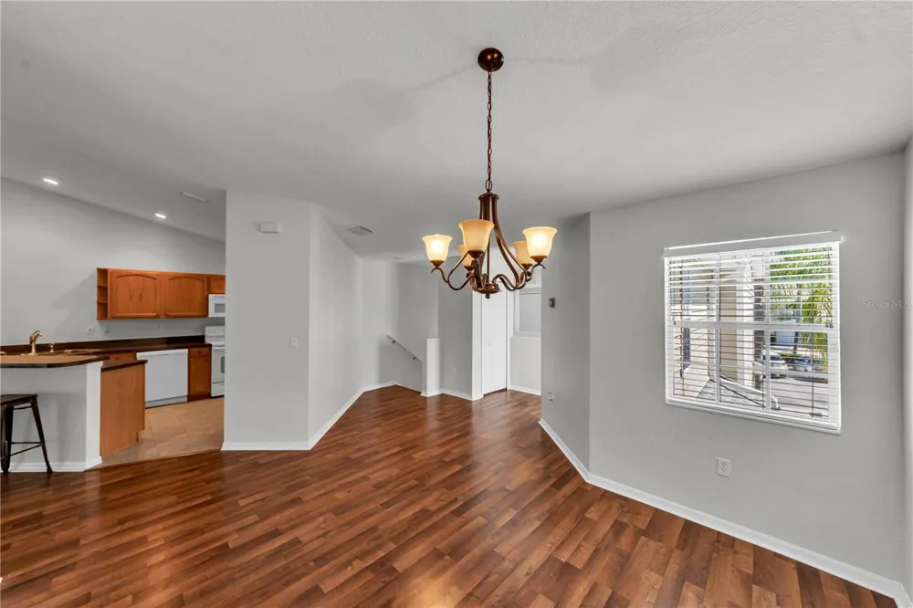 1715 HAMMOCKS AVENUE #1715 Lutz, FL 33549