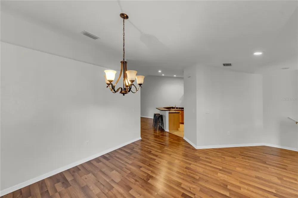 1715 HAMMOCKS AVENUE #1715 Lutz, FL 33549