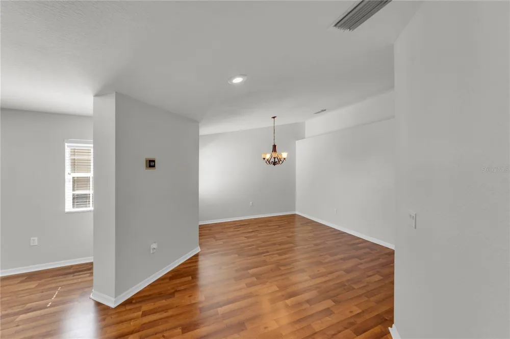 1715 HAMMOCKS AVENUE #1715 Lutz, FL 33549