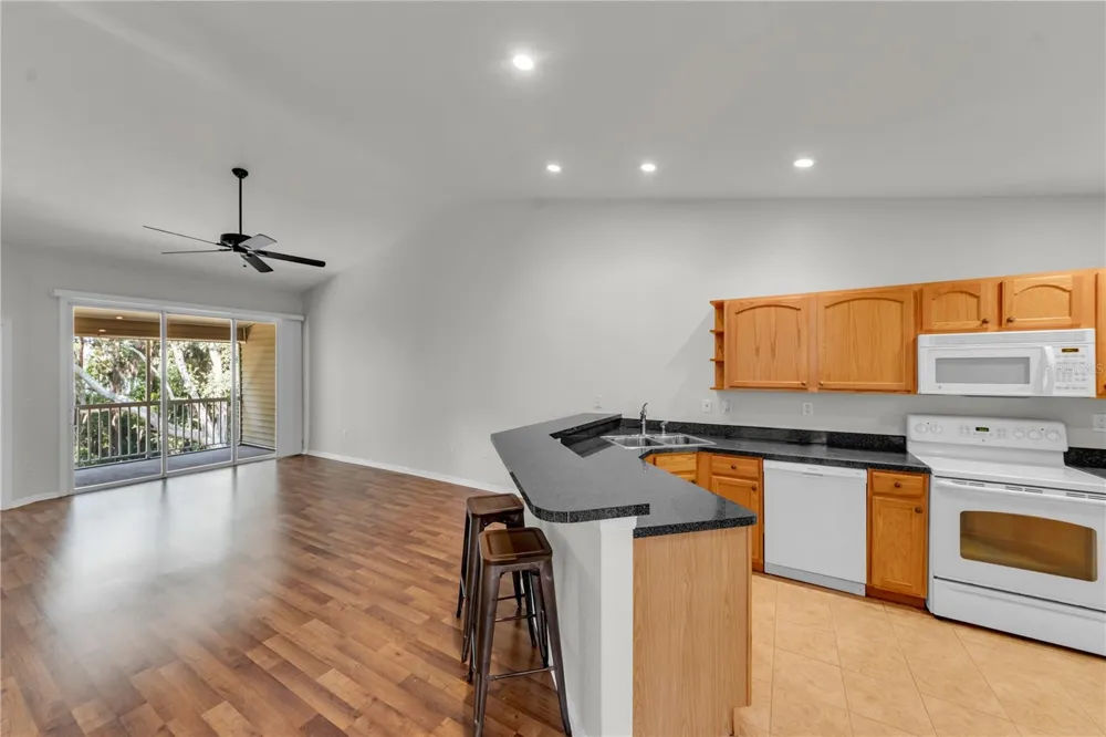 1715 HAMMOCKS AVENUE #1715 Lutz, FL 33549