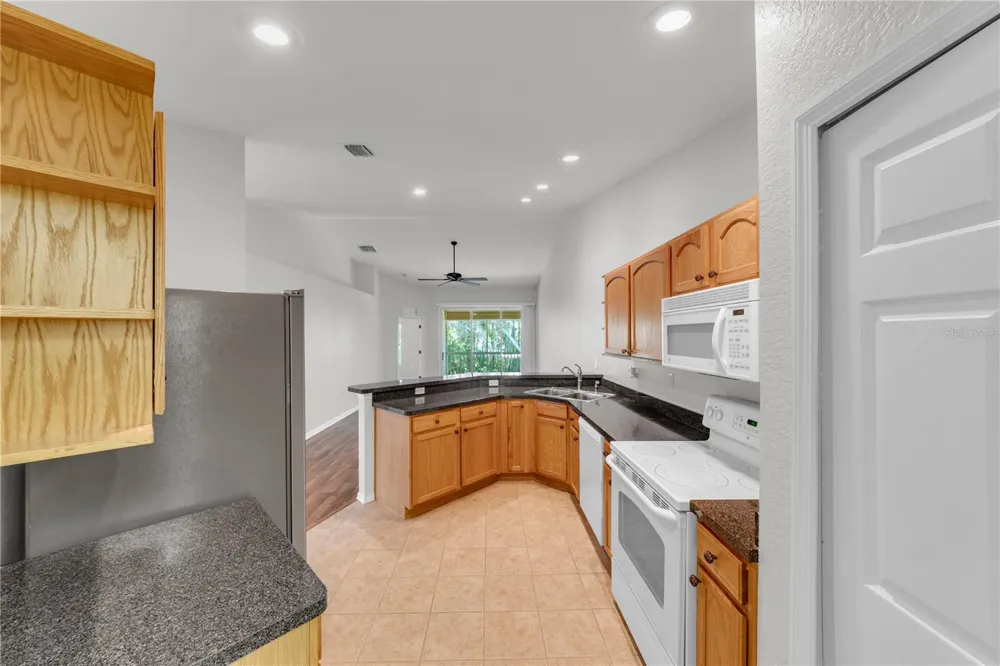 1715 HAMMOCKS AVENUE #1715 Lutz, FL 33549