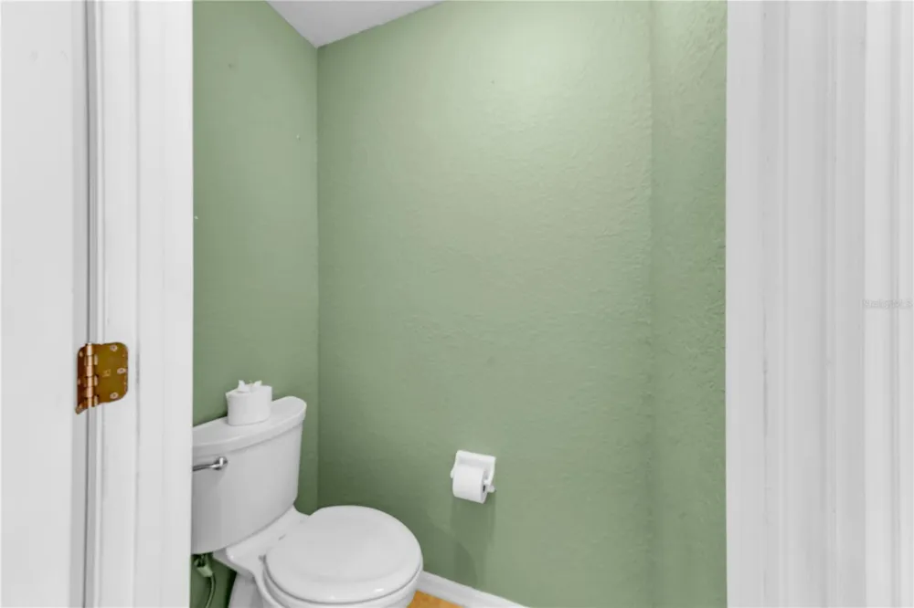 1715 HAMMOCKS AVENUE #1715 Lutz, FL 33549