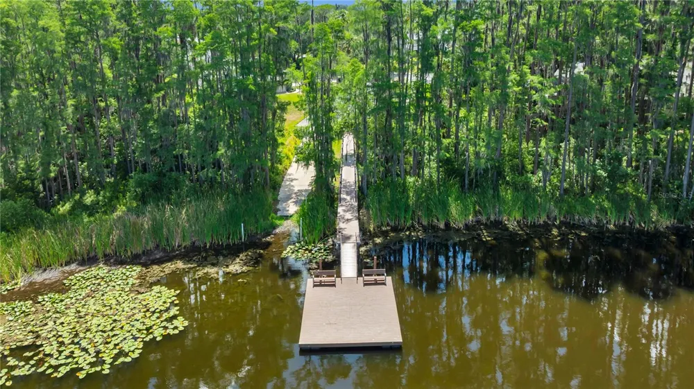 1715 HAMMOCKS AVENUE #1715 Lutz, FL 33549