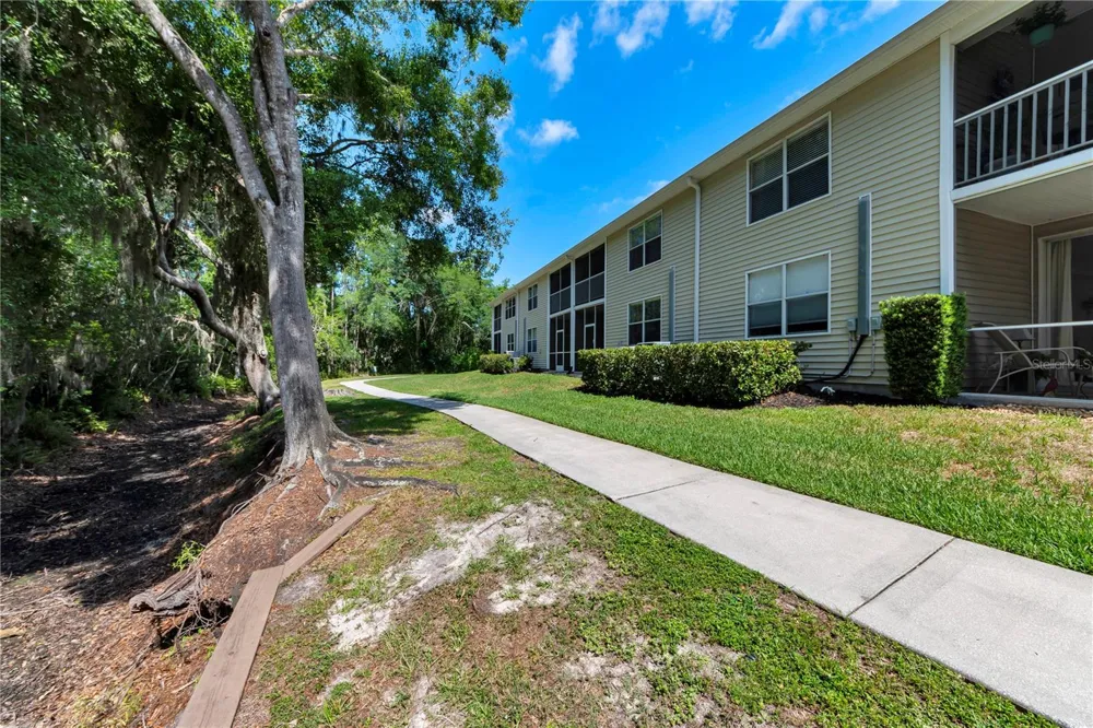 1715 HAMMOCKS AVENUE #1715 Lutz, FL 33549