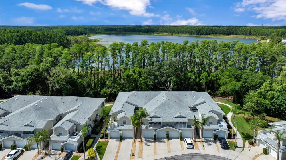 1715 HAMMOCKS AVENUE #1715 Lutz, FL 33549