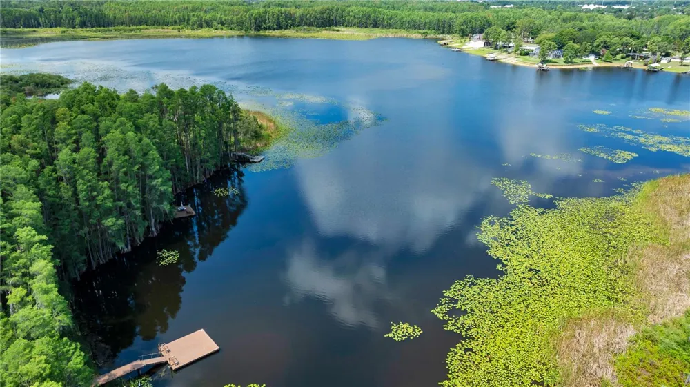 1715 HAMMOCKS AVENUE #1715 Lutz, FL 33549