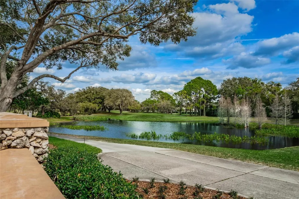 5120 FAIRWAY ONE DRIVE Valrico, FL 33596