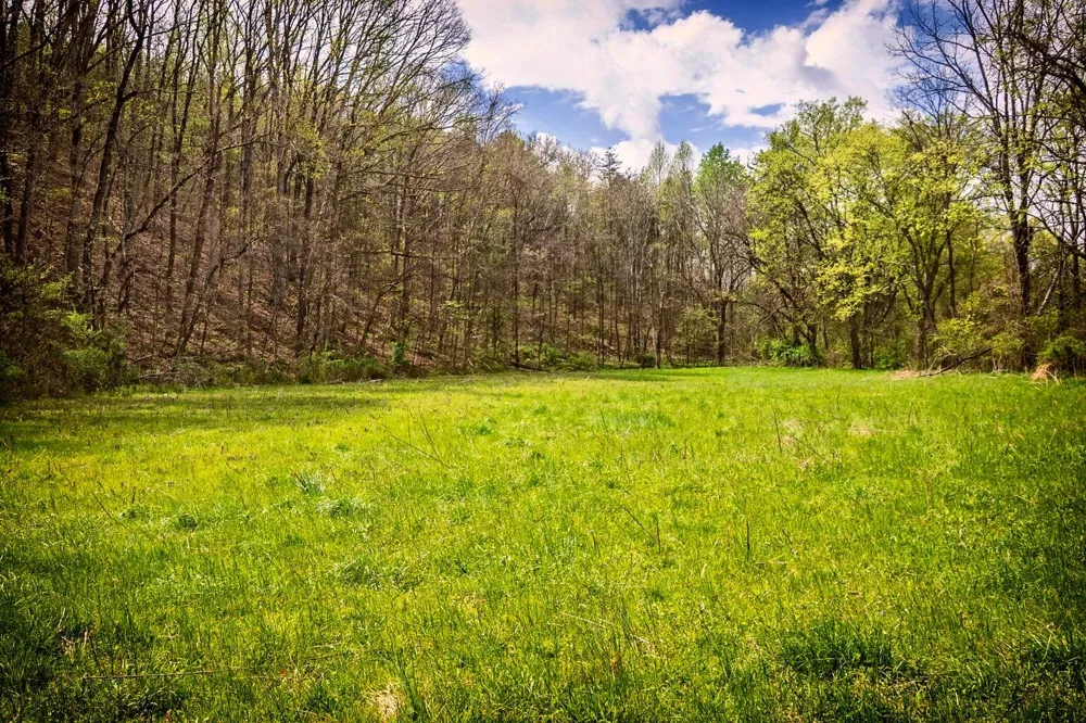 Gothard Street Sale Creek, TN 37373