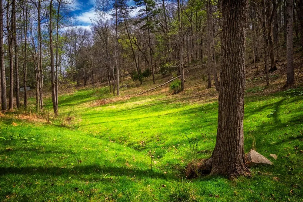 Gothard Street Sale Creek, TN 37373