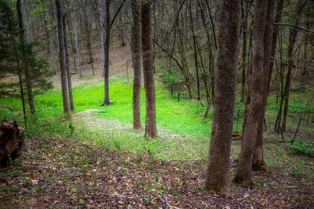 Gothard Street Sale Creek, TN 37373